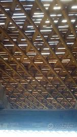 Canne di bambù per bricolage e coltivazioni