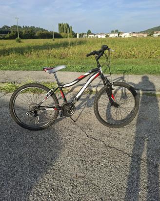 MOUNTAIN BIKE VORTEX 26
