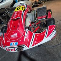 Birel art