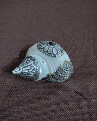 conchiglia con inserti di argento indiano 