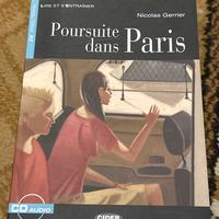 Poursuite Dans Paris