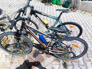 Coppia Bici Mountain bike (Stock)
