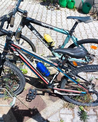Coppia Bici Mountain bike (Stock)