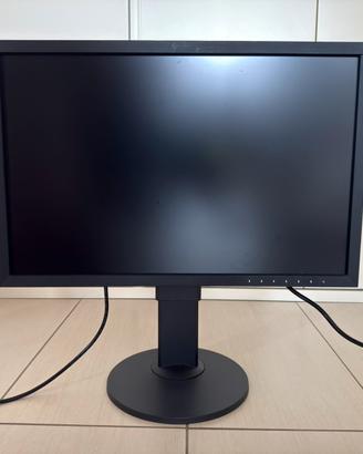 Monitor EIZO ColorEdge CS2420 - Non funzionante