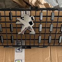 Griglia Peugeot 2008 anno 2017