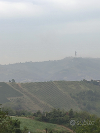 Terreno agricolo 15 pertiche circa