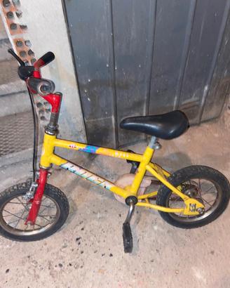 bicicletta 