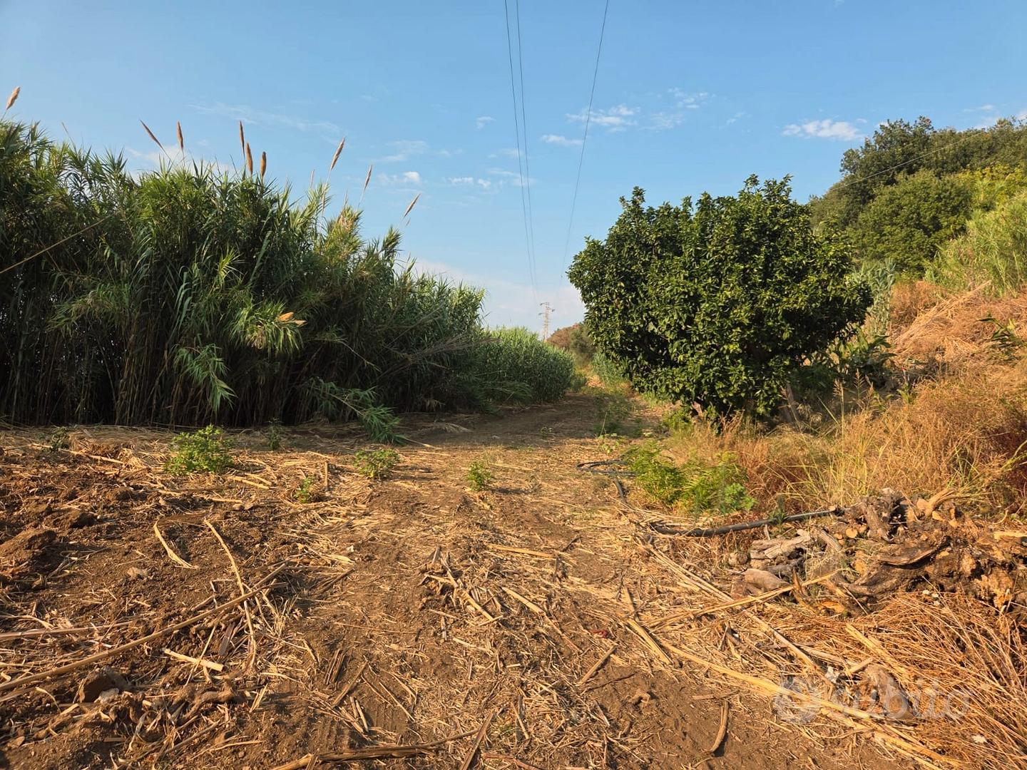 Terreno agricolo 42.000 mq vista mare+rudere-Pizzo - Vista 3