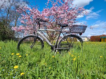  City Bike Tomasin - Cambio Shimano