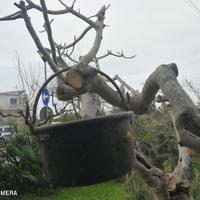 Pentola vintage (caldaro polenta)