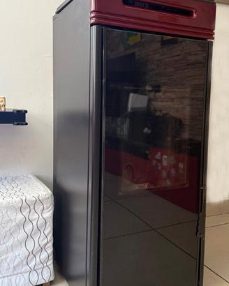 Termostufa a pellet Idro Ravelli HRV 100 TOUCH