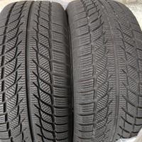 gomme invernali 225 55 17 101v