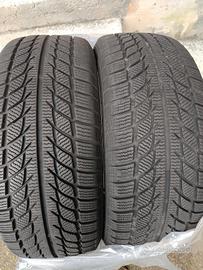 gomme invernali 225 55 17 101v