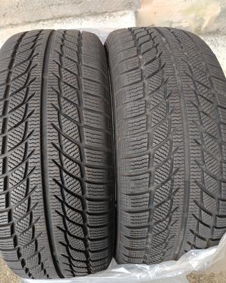 gomme invernali 225 55 17 101v