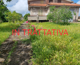 PRIVATO VENDE Villa grande metratura Nettuno