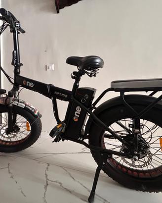 Bicicletta elettrica a pedalata assistita Icone