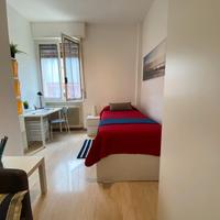 Stanze singole e luminose per universitari - 0004