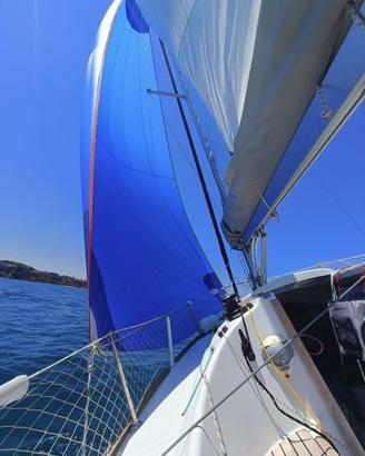 Beneteau First 20 (2016) - Iper-accessoriata