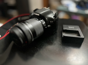 Canon EOS 550D + CANON 18 135 TELEOBIETTIVO
