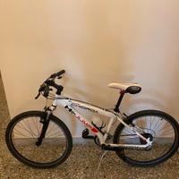 Bicicletta mountain bike