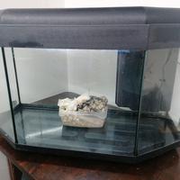 acquario 80 litri completo