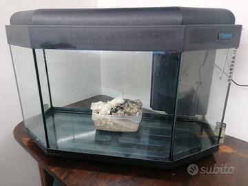 acquario 80 litri completo