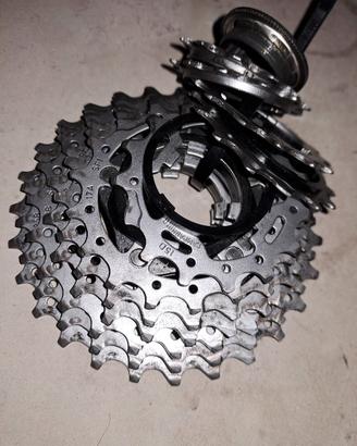 pacco pignoni campagnolo super record 11V