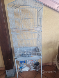 Gabbia con calopsite