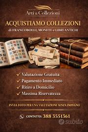  HAI UNA COLLEZIONE DI FRANCOBOLLI
