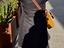 Immagine 6