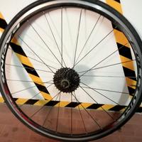 ruota bici corsa Fulcrum