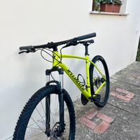 Specialized Rockhopper 29