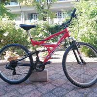 BICI tipo mountain bike