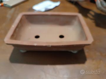 vaso x bonsai in terracotta