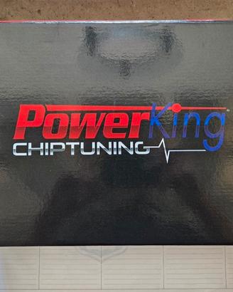 Centralina Powerking GT2 BMW 330d 265 hp