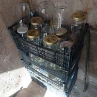 Vasi BORMIOLI per la conserva 