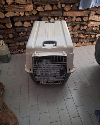 Trasportini cane