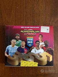 Box FIFA 365 Adrenalyn XL 2024 24 Bustine Panini