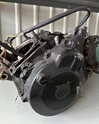 Motore Yamaha Tenere 600 43 F