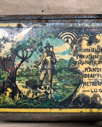 Scatola latta Randite americana randi