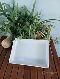 teglia rettangolare in ceramica bianca 