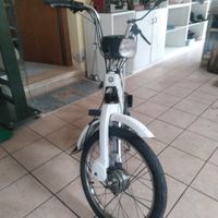 Piaggio Ciao ed altro