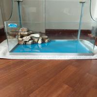 ACQUARIO PER TARTARUGHE