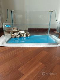 ACQUARIO PER TARTARUGHE