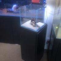 Vasca per nano acquari