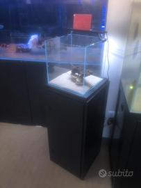 Vasca per nano acquari