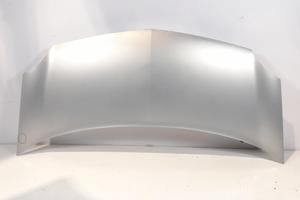 COFANO ANT. RENAULT KANGOO EXPRESS «III» (2008)