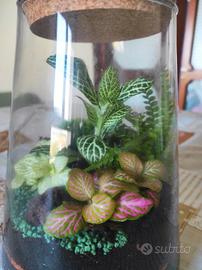 Terrarium artigianale, un paesaggio in casa