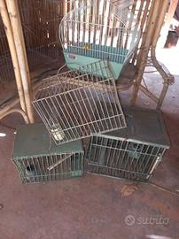 Vecchie Gabbiette Uccellini