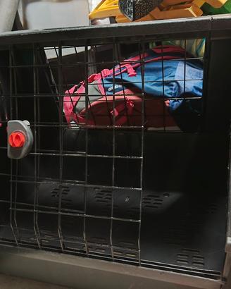TRASPORTINO CANI PVC